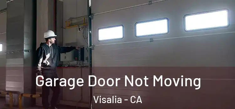  Garage Door Not Moving Visalia - CA