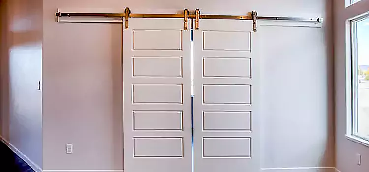 Glass Barn Door with Installation Hardware Kit Visalia