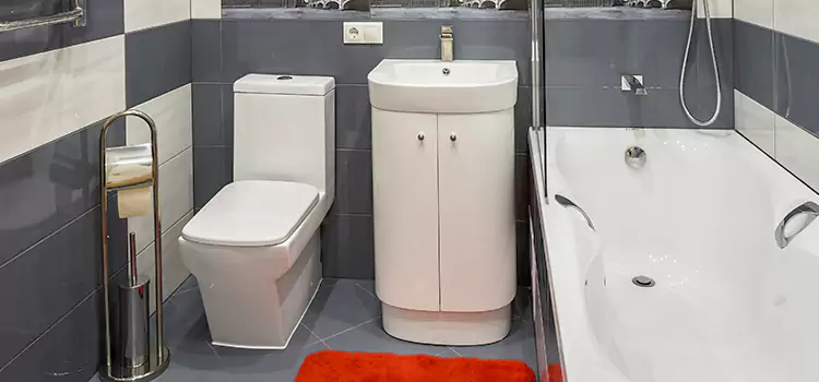 Hansgrohe Shaving Mirror Visalia